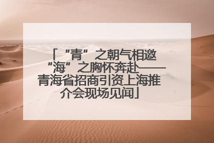 “青”之朝气相邀 “海”之胸怀奔赴——青海省招商引资上海推介会现场见闻