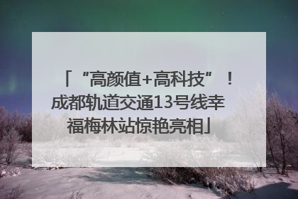 “高颜值+高科技”！成都轨道交通13号线幸福梅林站惊艳亮相
