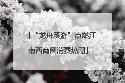“龙舟溪游”点燃江南西商圈消费热潮