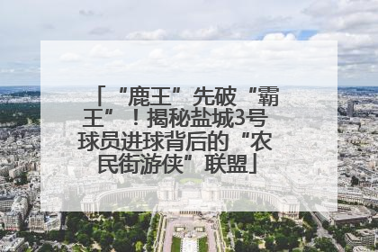 “鹿王”先破“霸王”！揭秘盐城3号球员进球背后的“农民街游侠”联盟