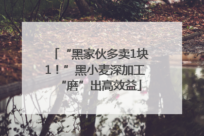 “黑家伙多卖1块1！”黑小麦深加工“磨”出高效益