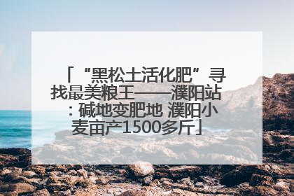 “黑松土活化肥”寻找最美粮王——濮阳站：碱地变肥地 濮阳小麦亩产1500多斤