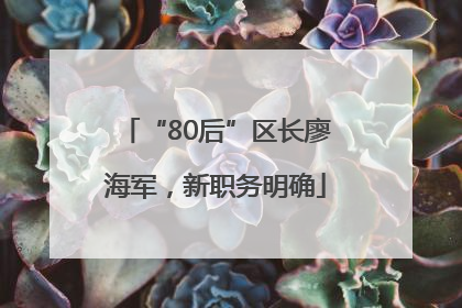 “80后”区长廖海军，新职务明确