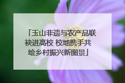 玉山非遗与农产品联袂进高校 校地携手共绘乡村振兴新图景