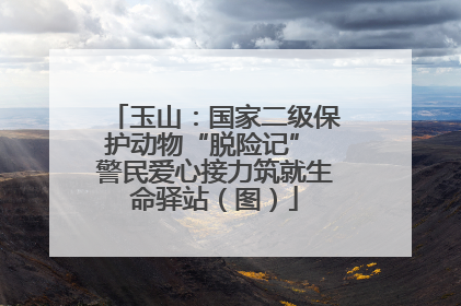 玉山：国家二级保护动物“脱险记” 警民爱心接力筑就生命驿站（图）