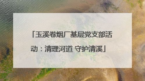 玉溪卷烟厂基层党支部活动：清理河道 守护清溪
