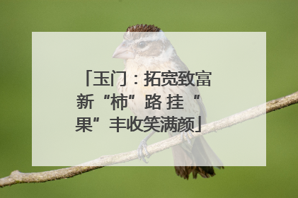 玉门：拓宽致富新“柿”路 挂“果”丰收笑满颜
