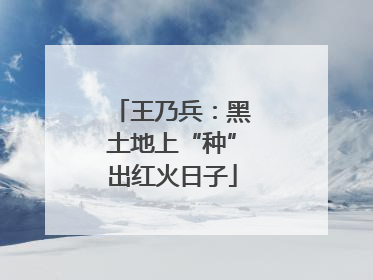 王乃兵：黑土地上“种”出红火日子
