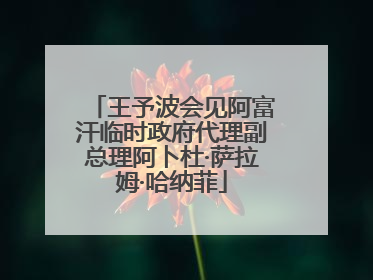 王予波会见阿富汗临时政府代理副总理阿卜杜·萨拉姆·哈纳菲
