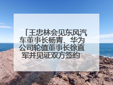 王忠林会见东风汽车董事长杨青、华为公司轮值董事长徐直军并见证双方签约 推动优势互补 实现共赢发展