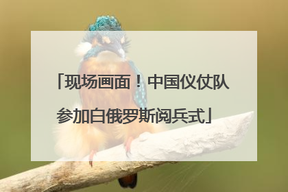 现场画面！中国仪仗队参加白俄罗斯阅兵式