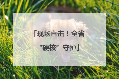 现场直击！全省“硬核”守护