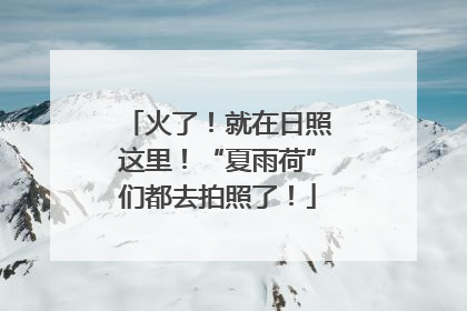 火了！就在日照这里！“夏雨荷”们都去拍照了！