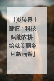 炎陵县十都镇：科技赋能农耕 绘就美丽乡村新画卷
