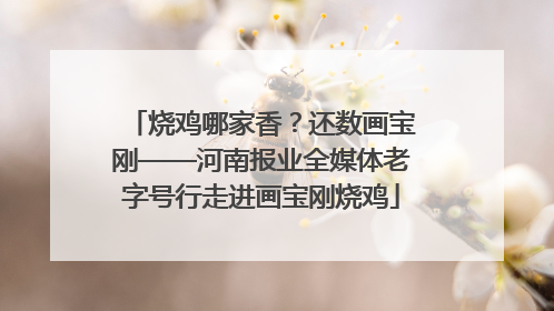 烧鸡哪家香？还数画宝刚——河南报业全媒体老字号行走进画宝刚烧鸡