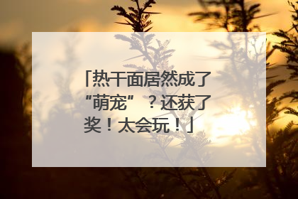 热干面居然成了“萌宠”？还获了奖！太会玩！