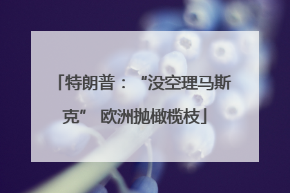 特朗普：“没空理马斯克” 欧洲抛橄榄枝