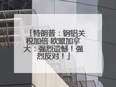 特朗普：钢铝关税加倍 欧盟加拿大：强烈遗憾！强烈反对！