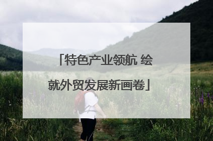 特色产业领航 绘就外贸发展新画卷