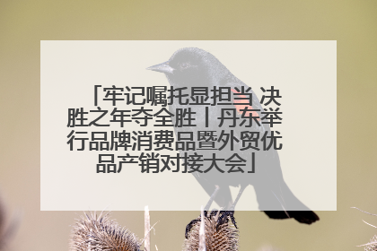 牢记嘱托显担当 决胜之年夺全胜丨丹东举行品牌消费品暨外贸优品产销对接大会