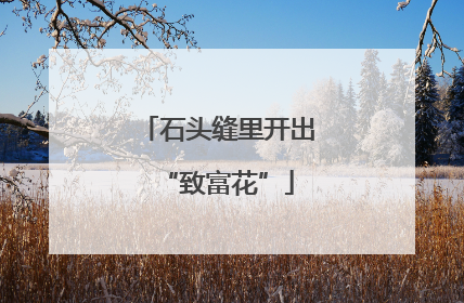 石头缝里开出“致富花”
