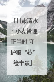 甘肃清水：小麦管理正当时 守护粮“芯”绘丰景