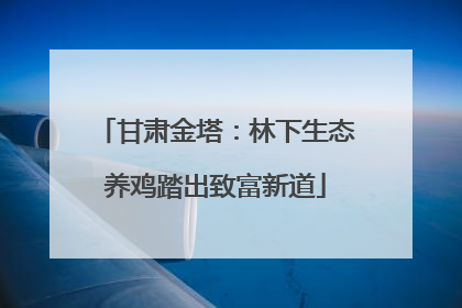 甘肃金塔：林下生态养鸡踏出致富新道