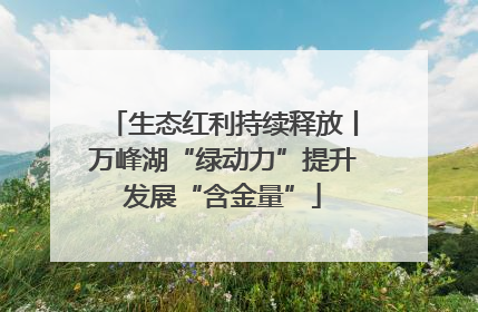 生态红利持续释放丨万峰湖“绿动力”提升发展“含金量”