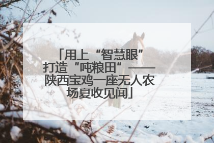 用上“智慧眼” 打造“吨粮田”——陕西宝鸡一座无人农场夏收见闻