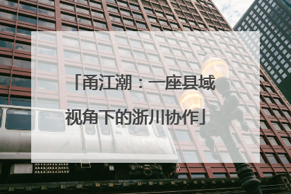 甬江潮：一座县域视角下的浙川协作