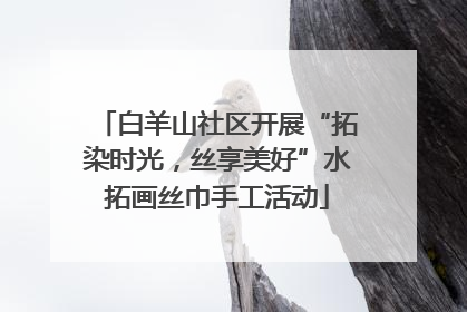 白羊山社区开展“拓染时光，丝享美好”水拓画丝巾手工活动