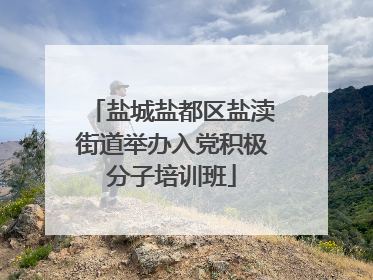盐城盐都区盐渎街道举办入党积极分子培训班