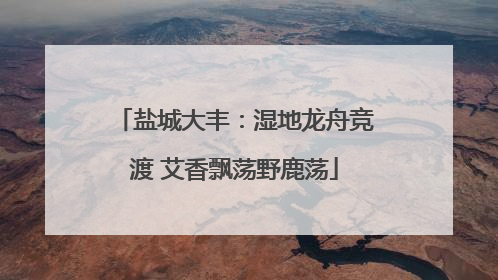 盐城大丰：湿地龙舟竞渡 艾香飘荡野鹿荡