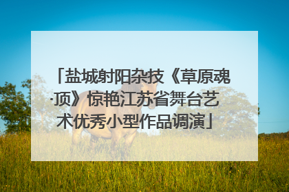 盐城射阳杂技《草原魂·顶》惊艳江苏省舞台艺术优秀小型作品调演