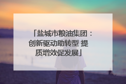盐城市粮油集团：创新驱动助转型 提质增效促发展