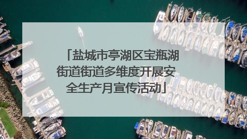 盐城市亭湖区宝瓶湖街道街道多维度开展安全生产月宣传活动