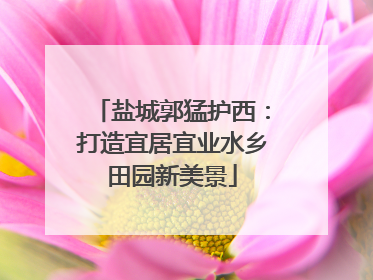 盐城郭猛护西：打造宜居宜业水乡田园新美景