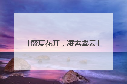 盛夏花开，凌霄攀云