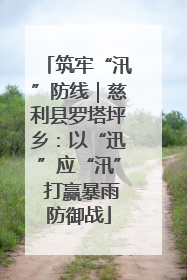 筑牢“汛”防线｜慈利县罗塔坪乡：以“迅”应“汛” 打赢暴雨防御战