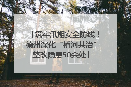 筑牢汛期安全防线！德州深化“桥河共治”整改隐患50余处
