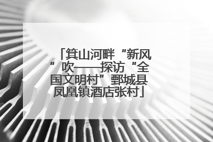 箕山河畔“新风”吹——探访“全国文明村”鄄城县凤凰镇酒店张村