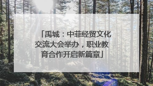 禹城：中菲经贸文化交流大会举办，职业教育合作开启新篇章