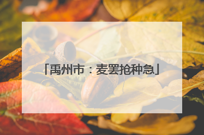 禹州市：麦罢抢种急