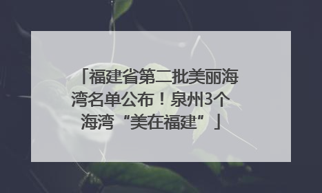 福建省第二批美丽海湾名单公布！泉州3个海湾“美在福建”