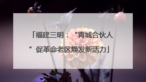 福建三明：“青城合伙人”促革命老区焕发新活力