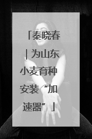 秦晓春｜为山东小麦育种安装“加速器”