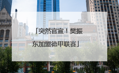 突然官宣！樊振东加盟德甲联赛