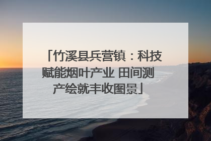 竹溪县兵营镇：科技赋能烟叶产业 田间测产绘就丰收图景