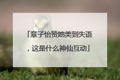 章子怡赞她美到失语，这是什么神仙互动