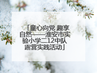 童心向党 趣享自然——淮安市实验小学二12中队露营实践活动